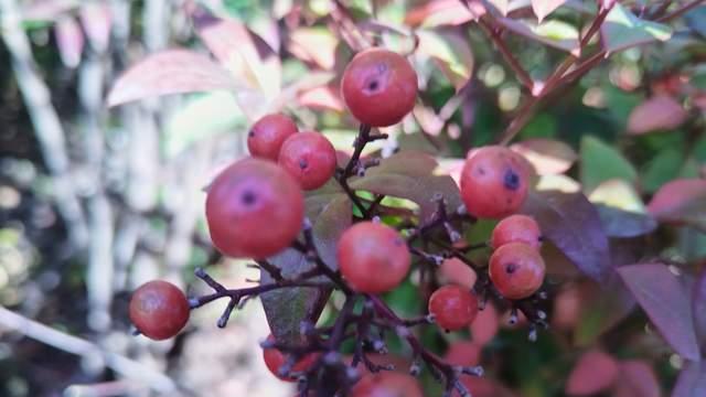 高考倒计时100天：不提冲刺，不谈结果，把余下每一天都脚踏实地