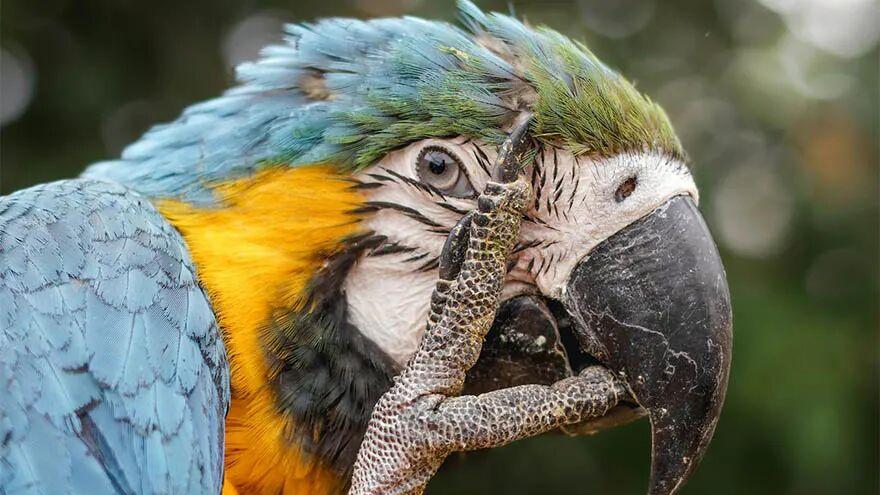 2-13 八字中“神煞”到底重要不重要？