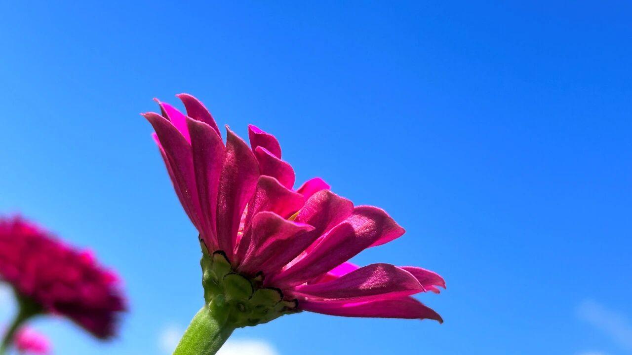 为什么好丈夫，到了中年也会背叛妻子，原因现实