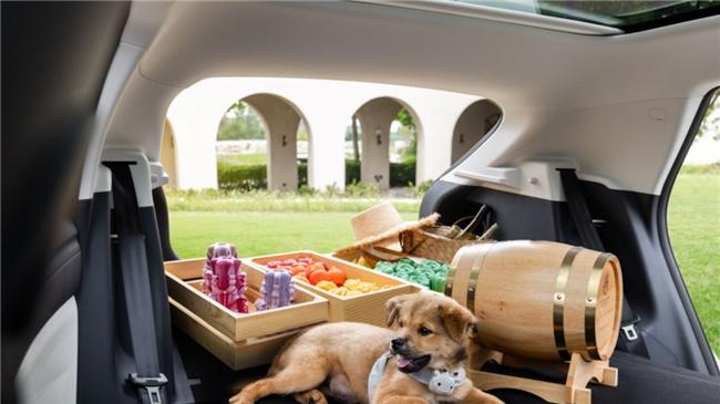 8万级纯电市场，极狐T1与全新QQ3谁能成为用户首选？