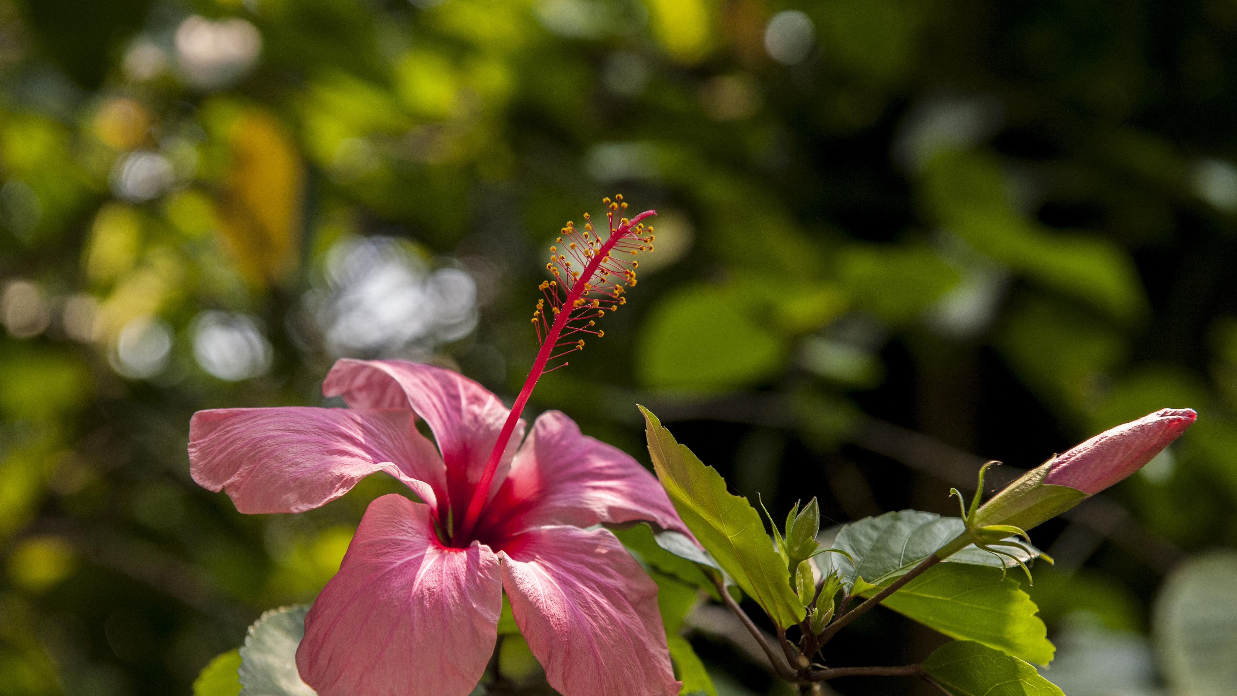 HR不再“管人”，而是在造未来