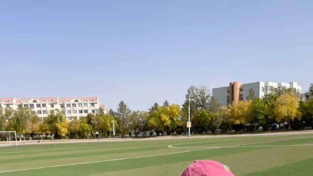 榜样之外：帮助孩子认识真实而多元的成人世界