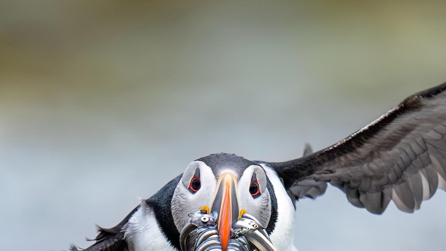 在美国，为什么越来越多长久婚姻走向尽头？
