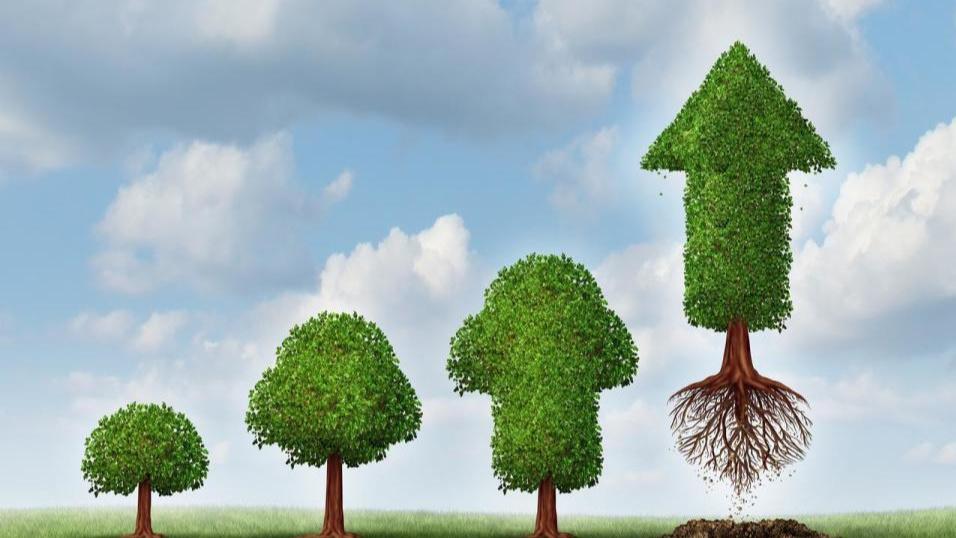 大学生与成年人的分水岭：不是18岁，而是没人替你兜底的那一天