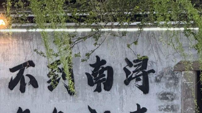 一汪流水串联古宅石桥，寻常烟火造就与众不同的南浔水乡