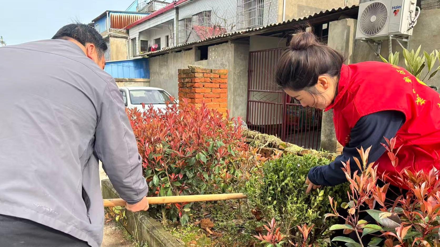南湖桥社区：补种绿植添新颜 共建宜居美家园