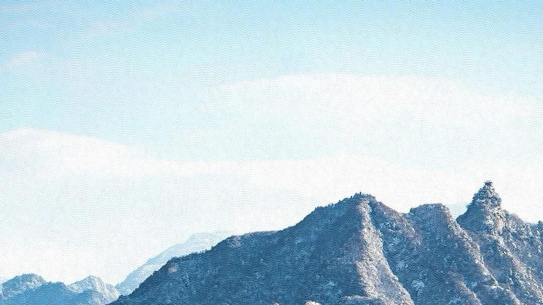 立志做行动派知识分子