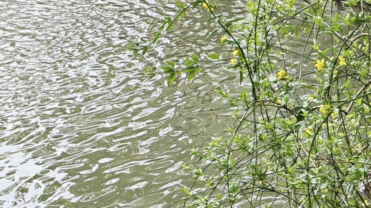 信息判断力，多练就得力