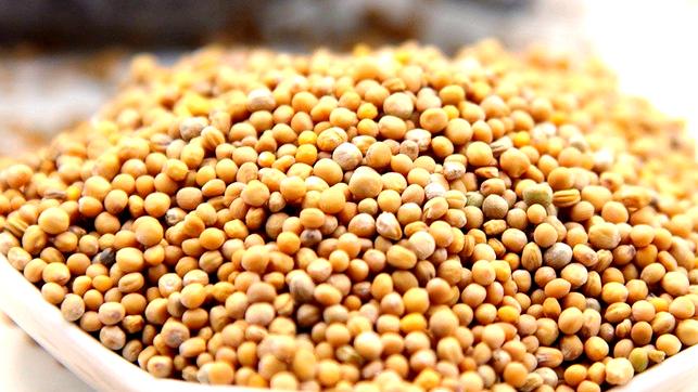 脂肪瘤是痰湿郁结太多，1方4味药，化已生之痰，灭生痰之根