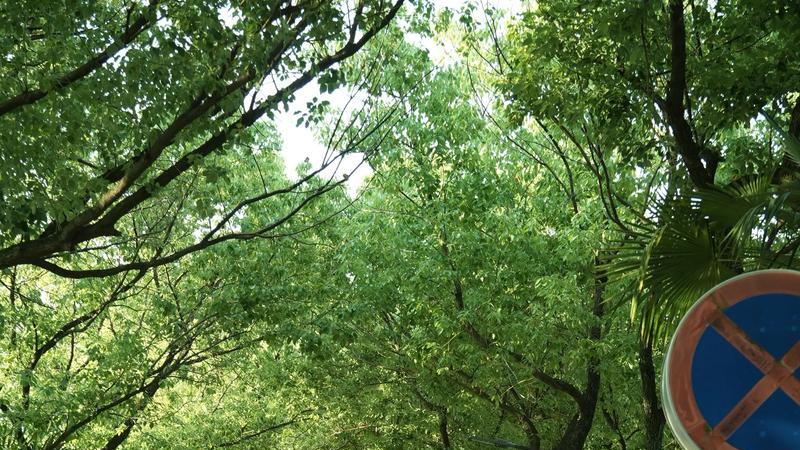 国内高校分享第158期：安徽师范大学-谁说师范院校不能冲世界名校？