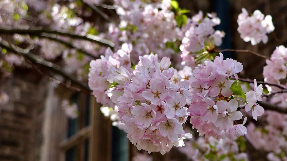 婚房刚装修好，婆婆就说次卧阳光好，留给念初中的小叔子正好