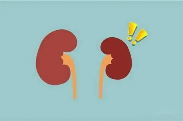 治肾20多年，60多岁肾功能很稳定，无肾衰竭！2个经验，值得所有肾友借鉴