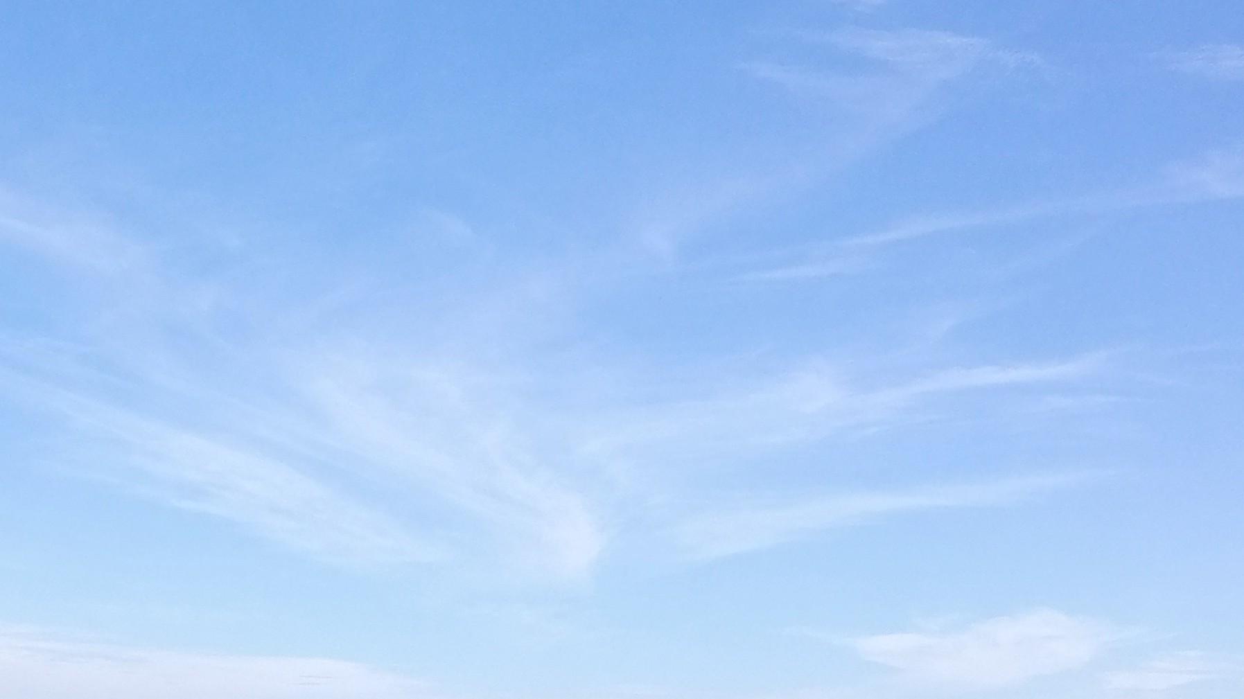 工作水平论高低：判断力加执行力