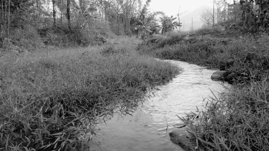 1981年，江苏农妇捡到一金印在日本引起轰动，日本人：迷案解开了