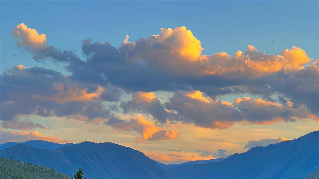 别慌，这世上真的有无条件的爱