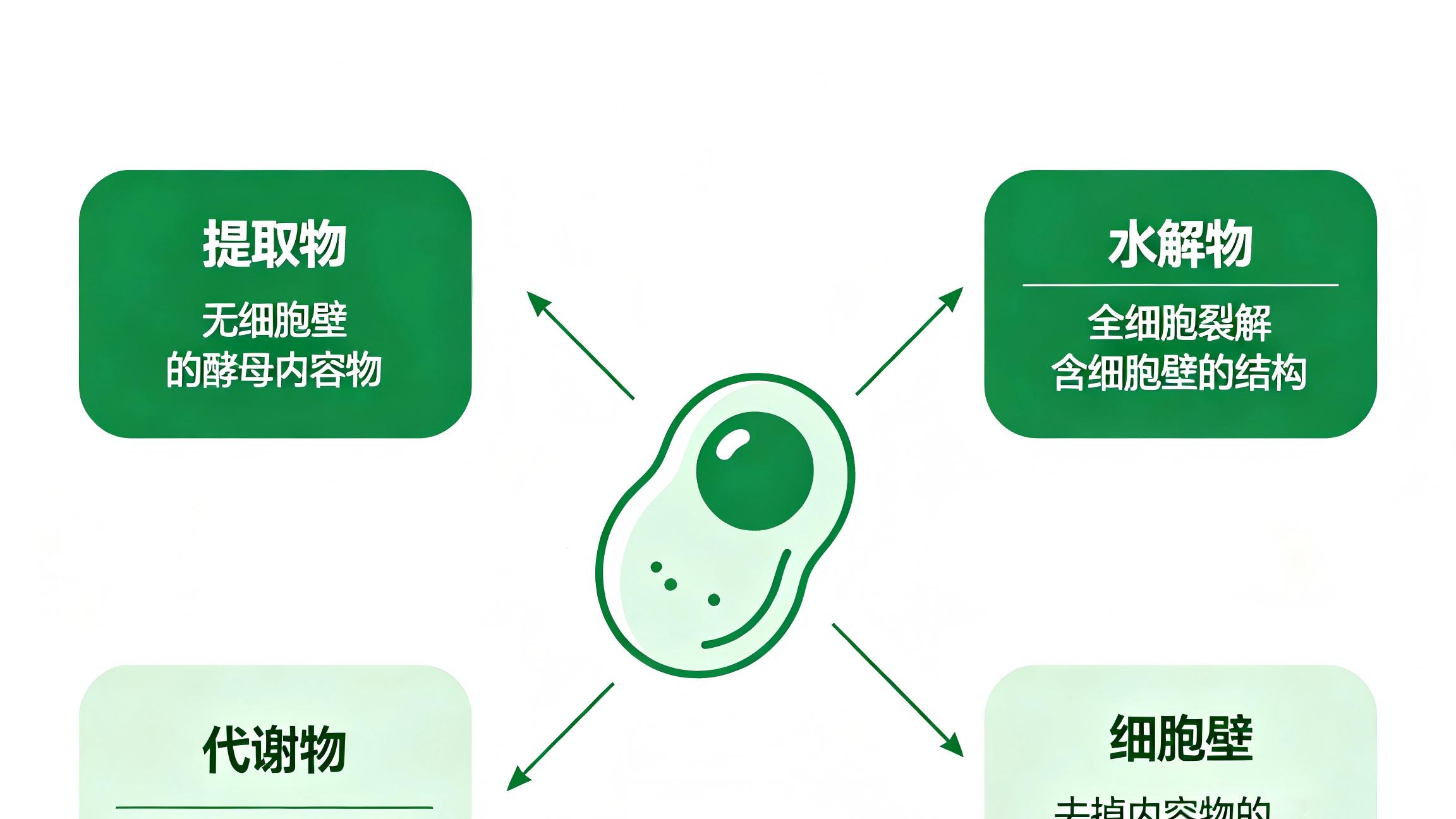 酵母提取物、水解物、代谢物、细胞壁——四者到底差在哪？