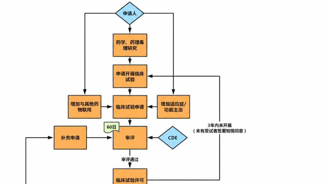 姚伟琪等：干细胞药品审批——从“技术探索”到“法规跑通”的中国路径