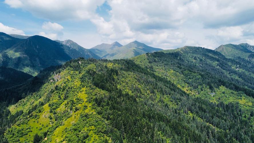 王镜海师傅谈：官贵命格的四大特征