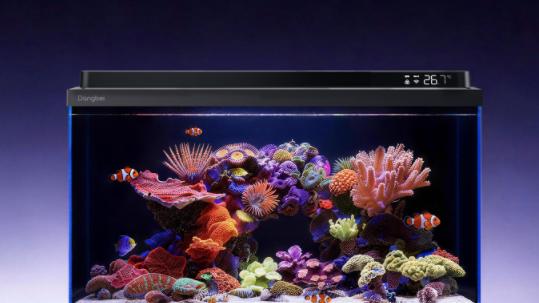 当贝2S Ultra：让未来降临，筑就水族美学不可逾越的丰碑