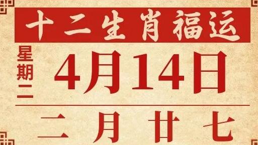善韵缘|2026年4月14日十二生肖运势概况