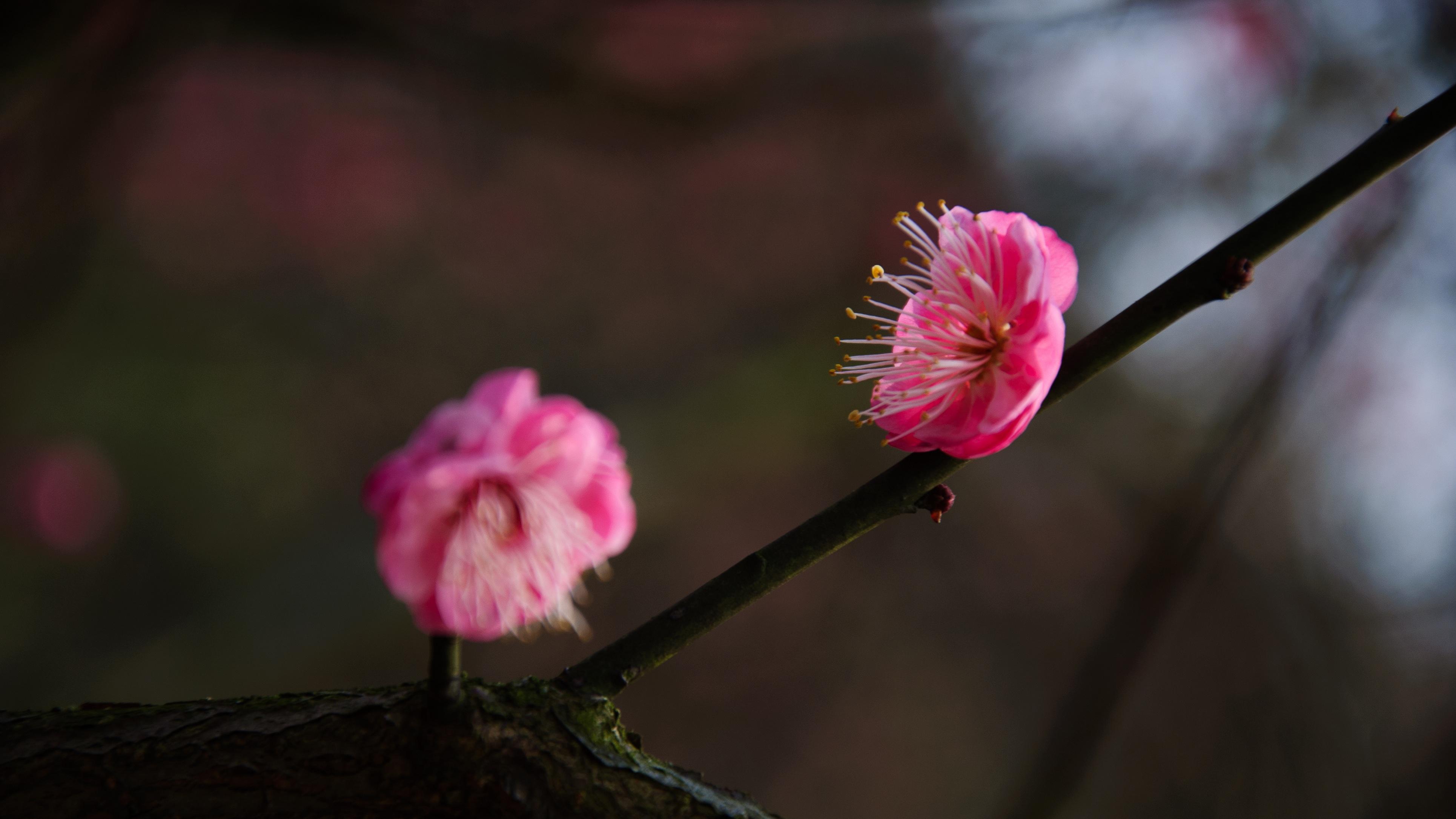 底层逻辑：为啥“变强”比“努力”更重要？