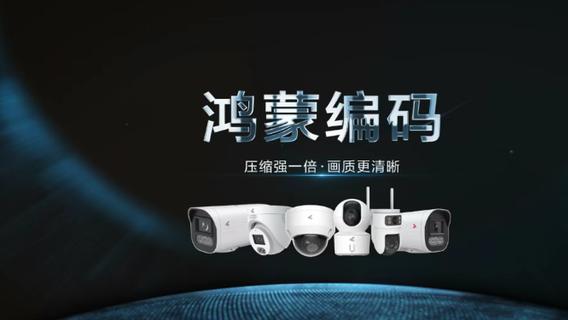 鸿蒙编码与鸿蒙安全：中小企业智能化的双翼展翅