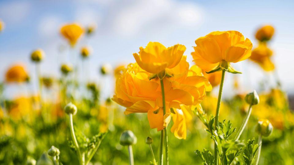 我生病住院让儿子垫付2万，儿子沉默，儿媳妇说没钱，我心中有了决定