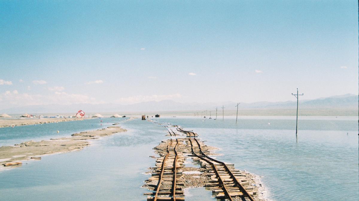 将“饿晕”评标专家调整出库，是否有据可依？是否有报复之嫌？