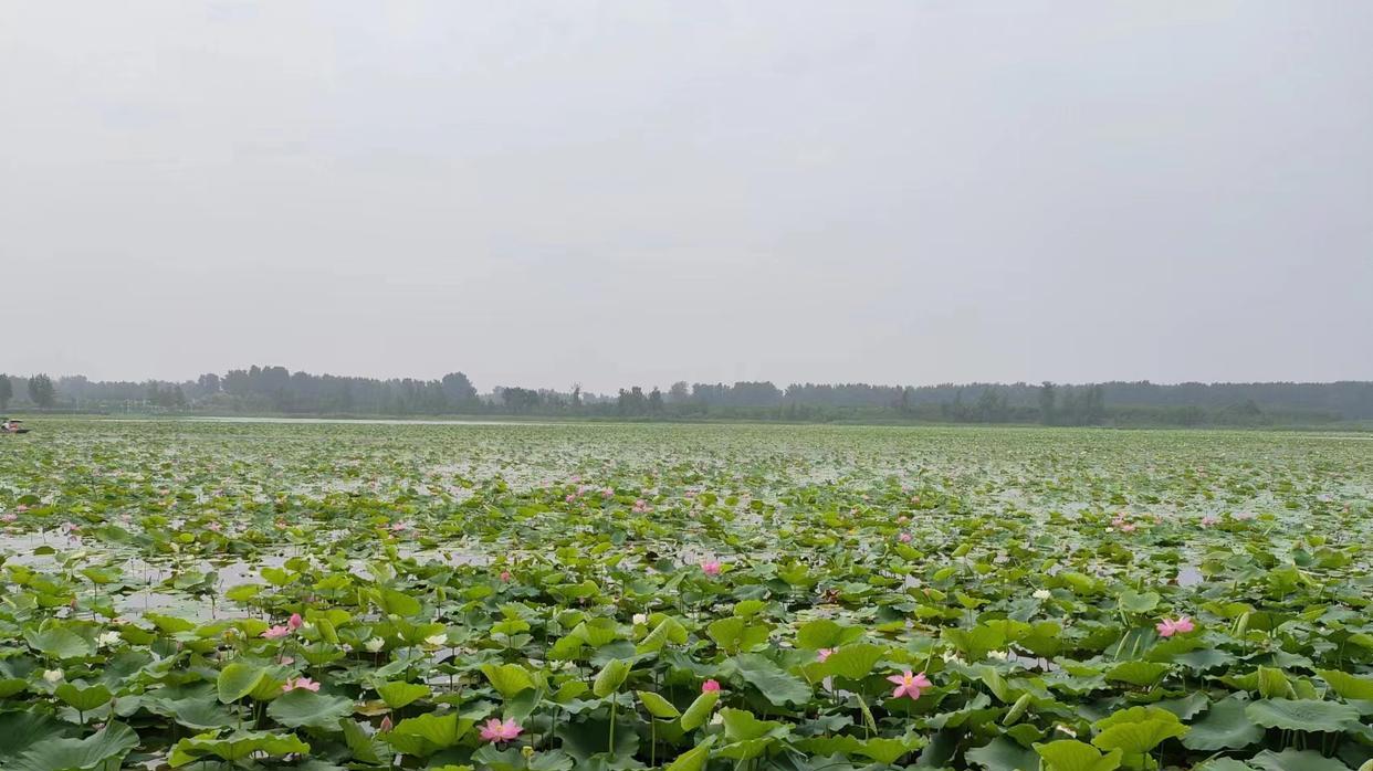 一个人开始走大运的征兆，不是发财，也不是升官，而是做到这两点