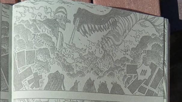 海贼王1172话第二次情报更新|艾尔巴夫荣耀回归！向世界政府宣战！索隆一计“闪回小花园”？