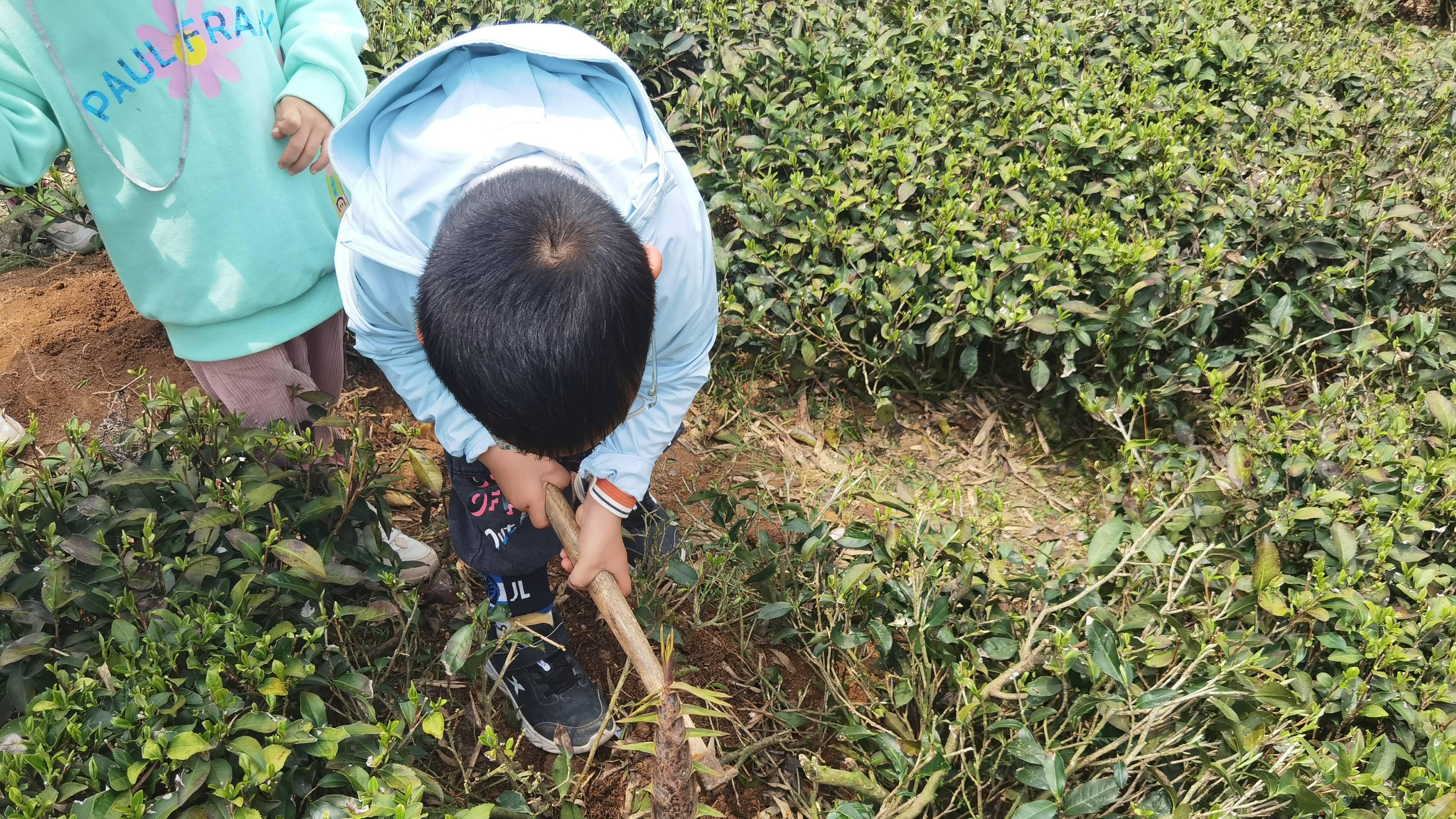 厦门班级“假日小分队”活动一般去哪？避开人挤人，去军营村集体撒“野”解压