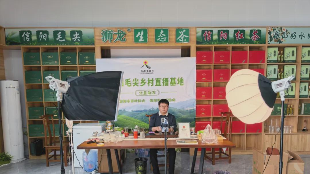信阳市平桥区五里店街道办事处：深耕两茶产业链 铸就品牌振兴路