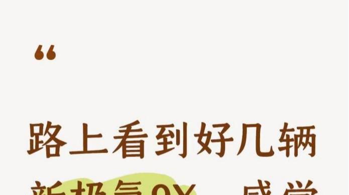 路上看到好几辆新极氪9X，感觉自己白干一年