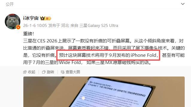 折叠屏的“祖传折痕”，今年真要被彻底干掉了？📱