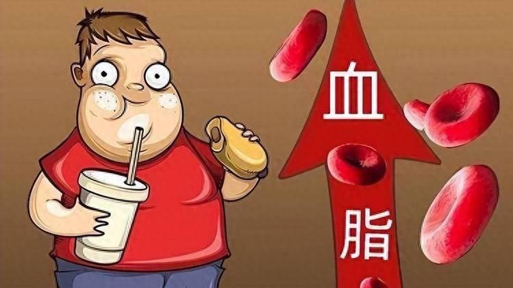 降血脂别让血液变成“粥”！5个方法帮你疏通血管，远离心梗中风