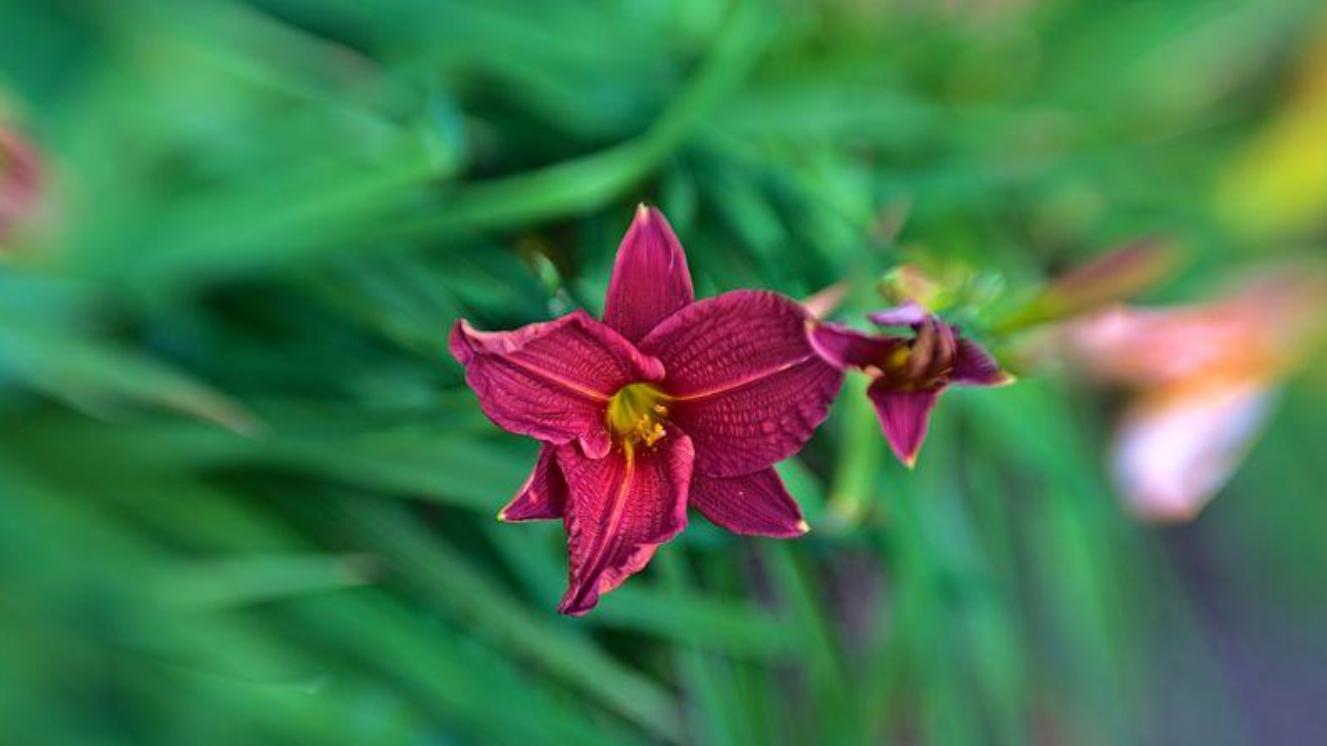 无法见光的感情中，无论感情多么浓烈，有两点真相很扎心