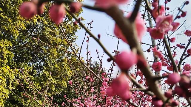 青春期孩子不跟你交心？不是不想说，是家长一开口就把天聊扫兴了