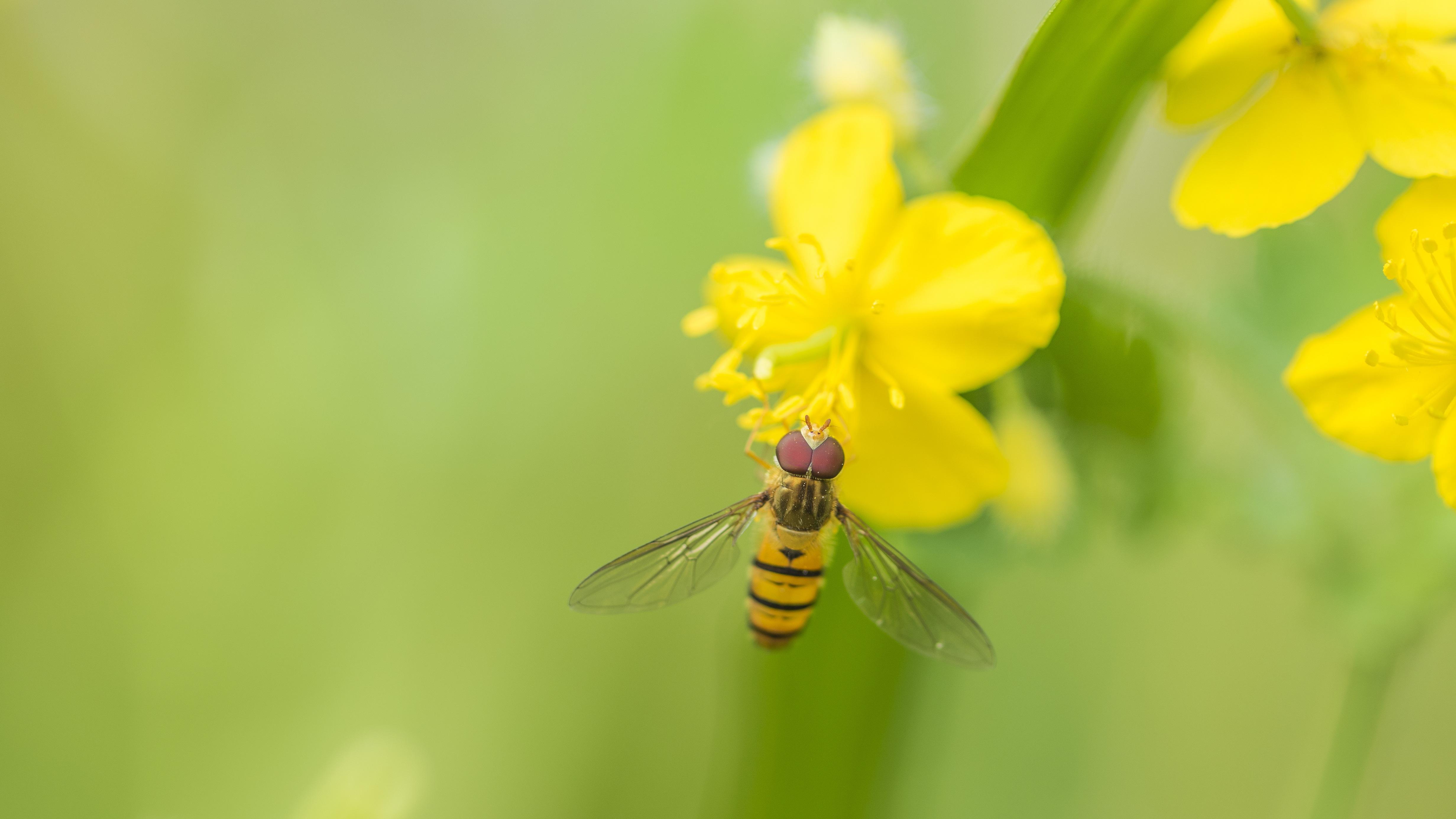 为什么第一份业绩预告，比股价更诚实？