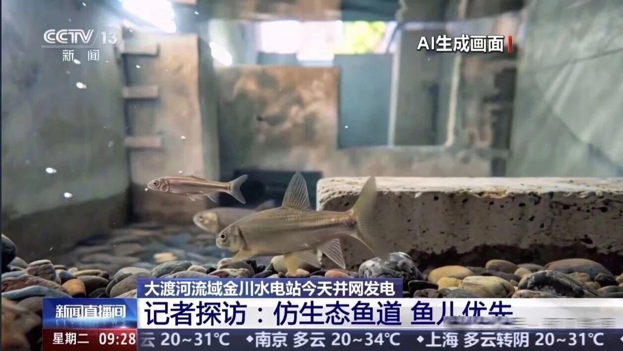 这座水电站有意思！发电厂房埋65米地下，给鱼类洄游鱼道就5公里