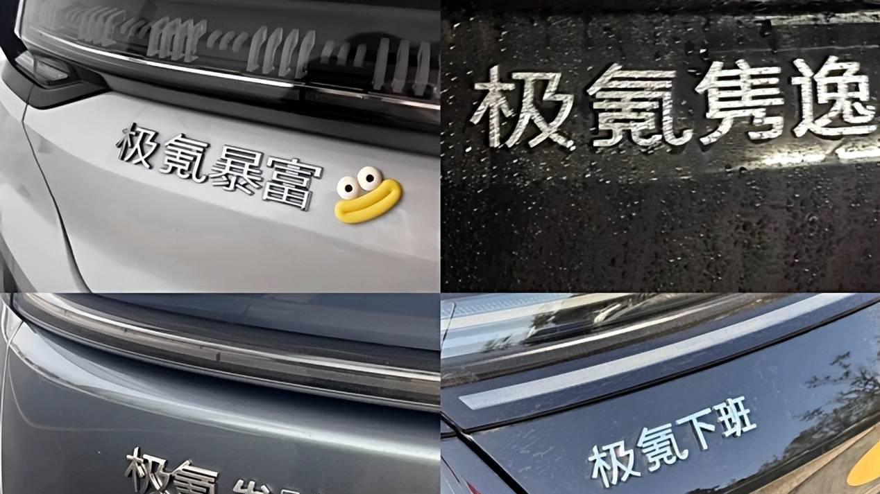 极氪车主还是太有梗了，看看你们的车尾标