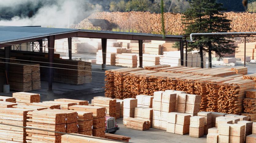 重压下的突围：中国与加拿大木材贸易量增长4.6%，价涨11.3%