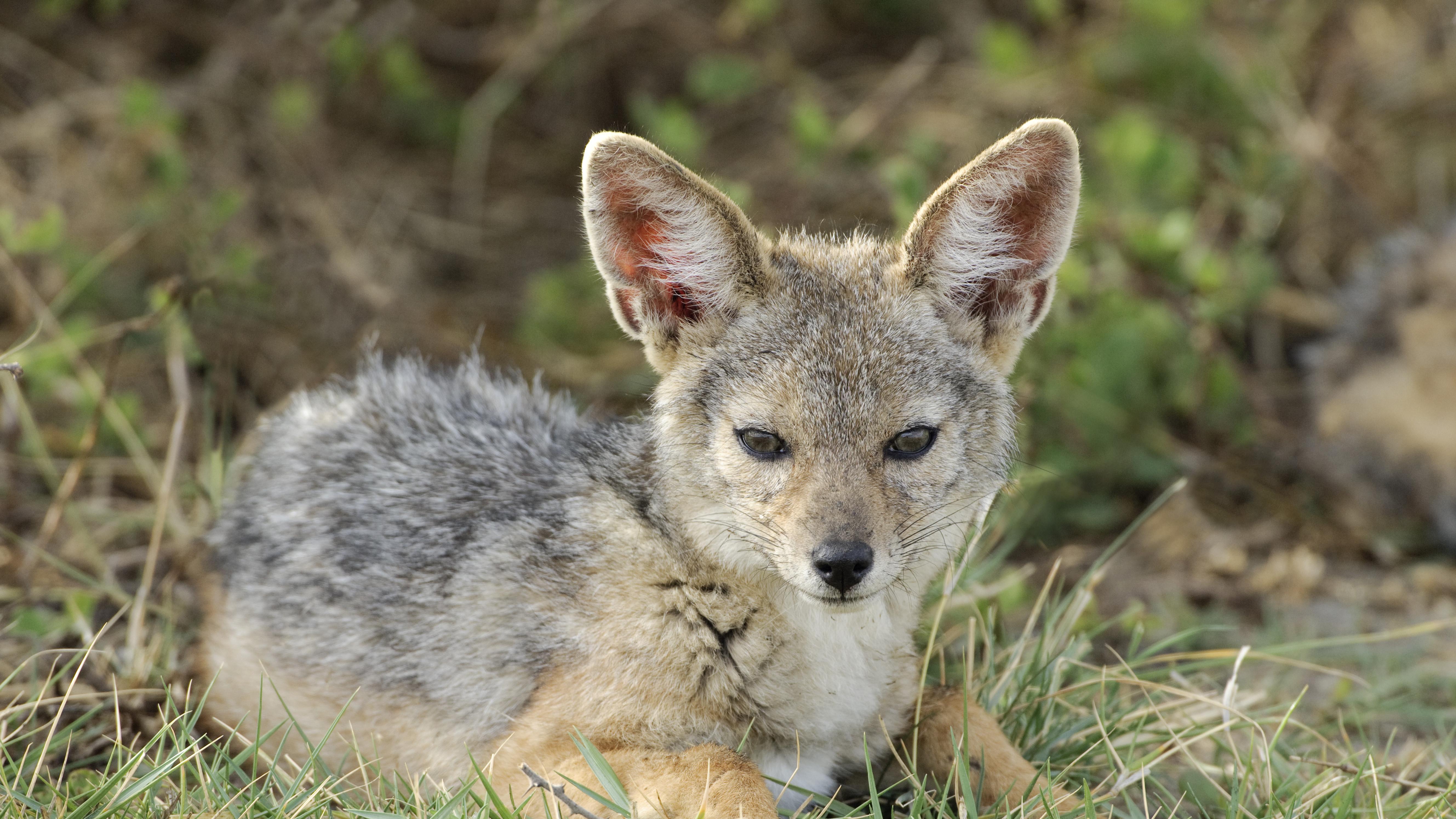 外部需求暴涨，为什么你却没涨薪？