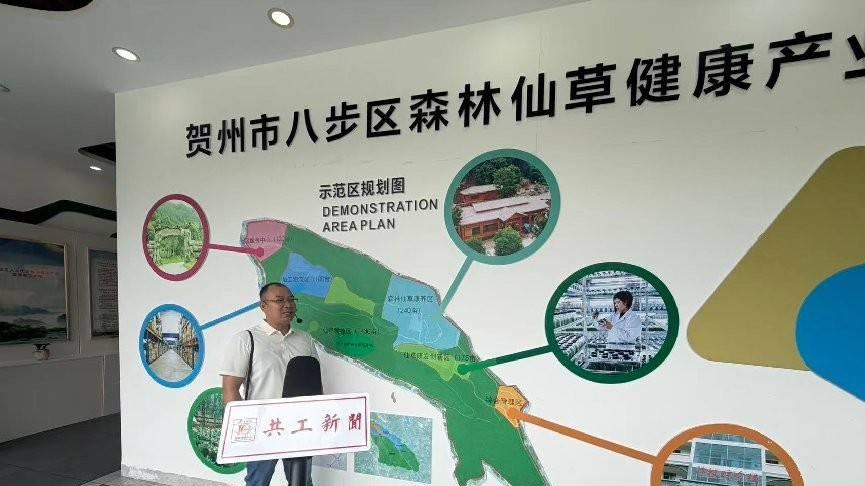 走进贺州森林仙草基地 探访"中医药+文旅"融合新样板