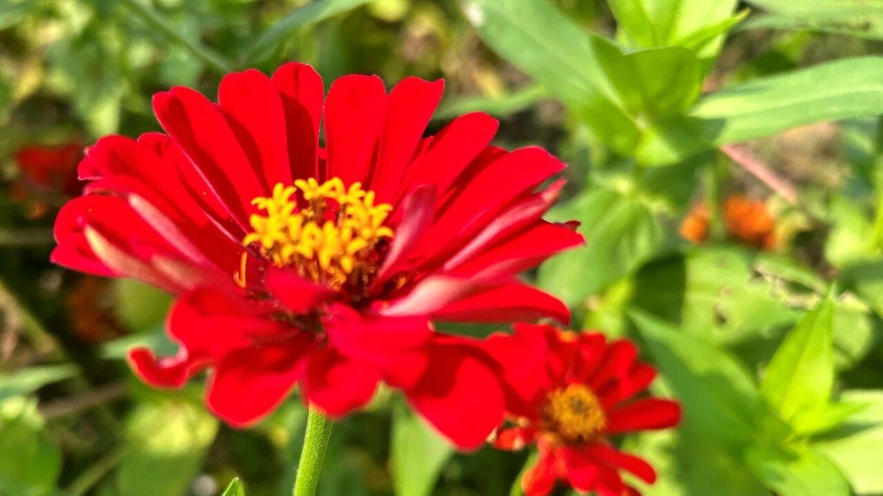 中年女人，在婚外的感情中痛苦，不妨了解3个真相