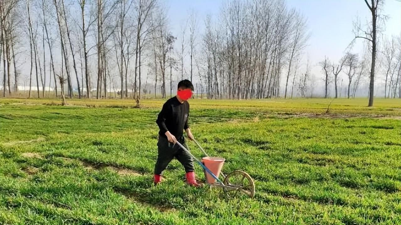 化肥袋白绳别硬扯！农村妈教的顺口溜，一拉就开，还藏着童年