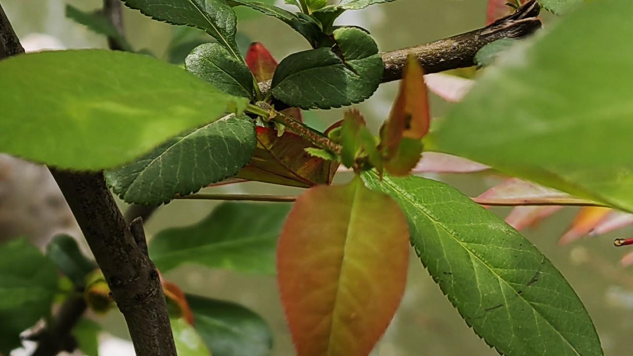 行走职场：今天开始，认真经营