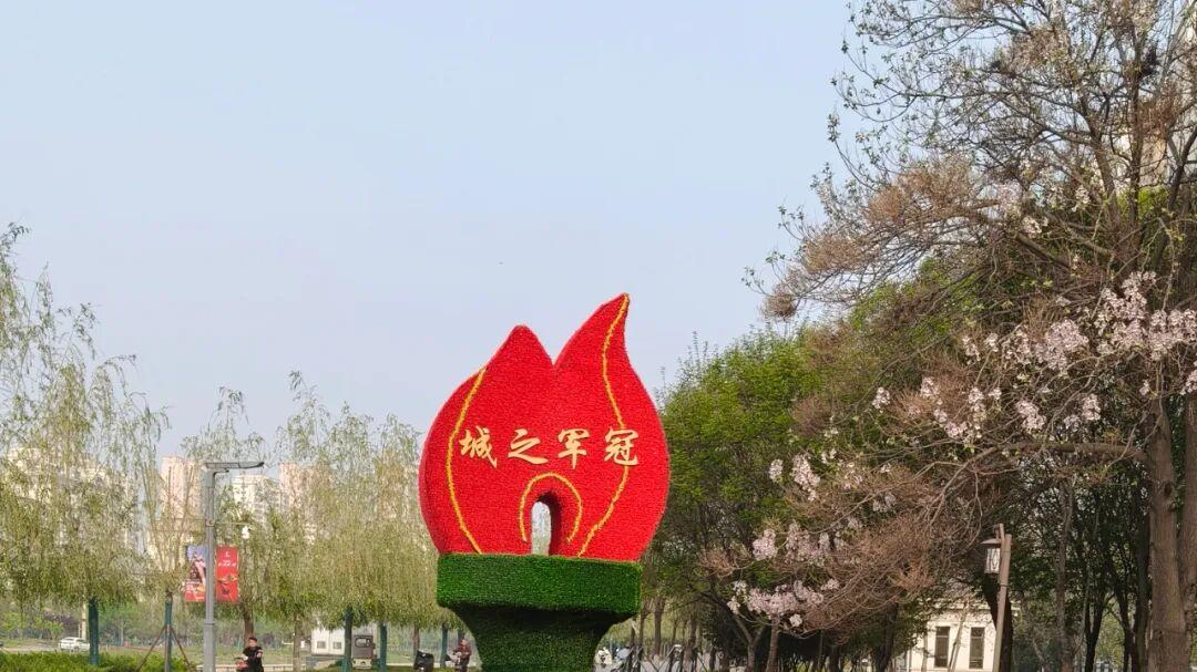 保定：向马拉松选手、观众公益赠花，让城市美景走进千家万户