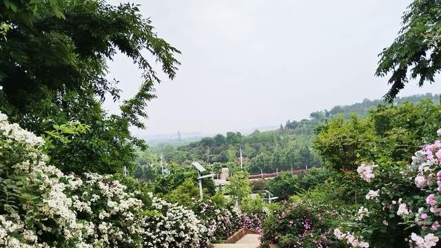 考前孩子躺平没冲劲？家长别急着催，先要觉察懒散背后的真相