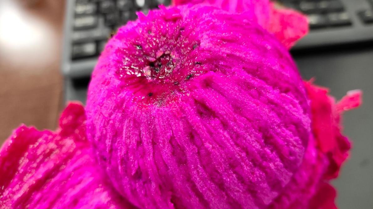 孕35周，一个普通孕妇的通勤包里都装了什么