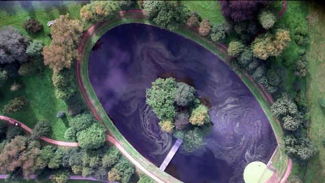 戴安娜安息地添温柔新景！弟弟亲种木兰树，守护姐姐长眠湖心岛